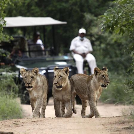 Karongwe Portfolio - Kuname Lodge Karongwe Game Reserve Eksteriør bilde