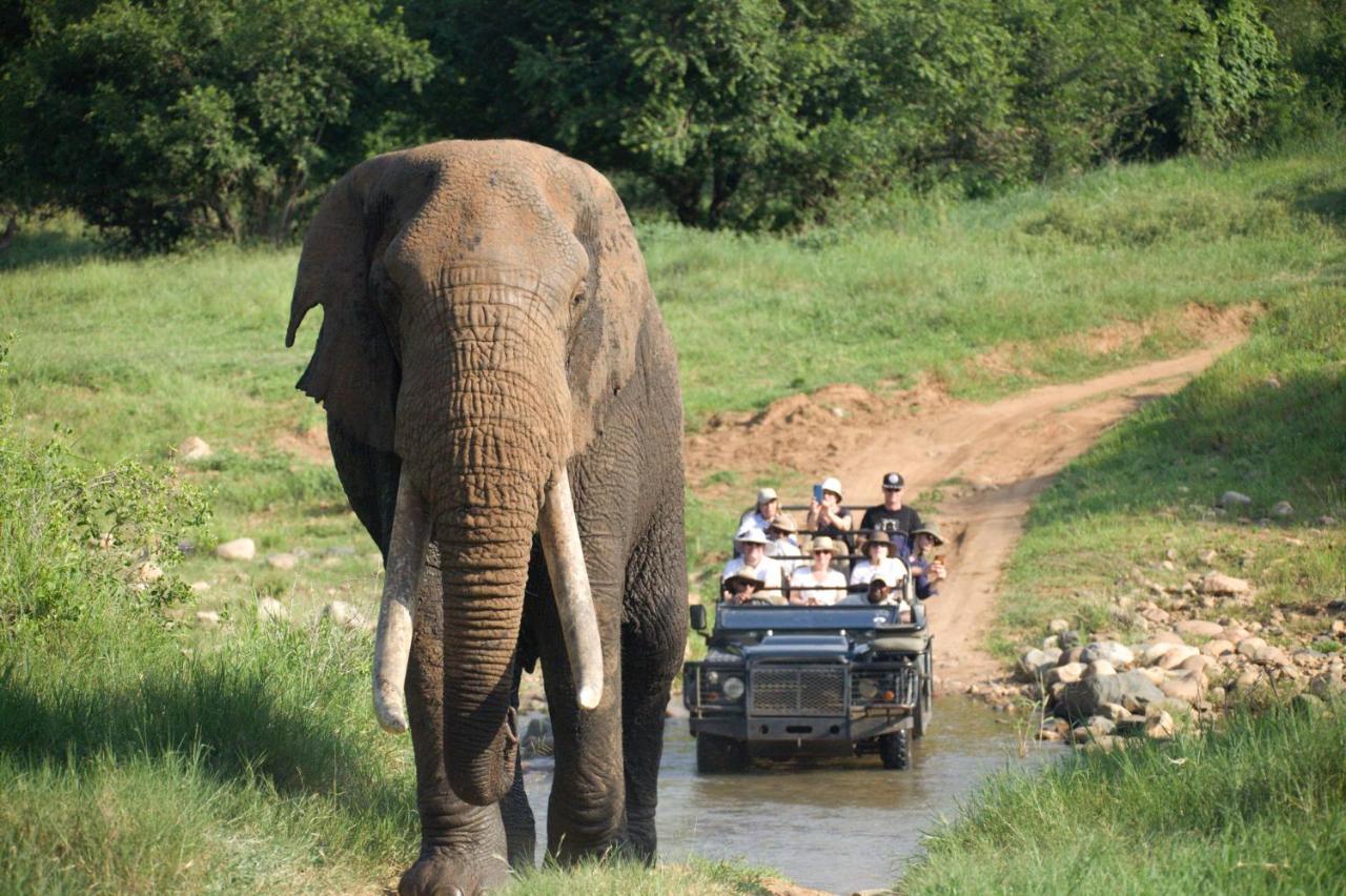 Karongwe Portfolio - Kuname Lodge Karongwe Game Reserve Eksteriør bilde