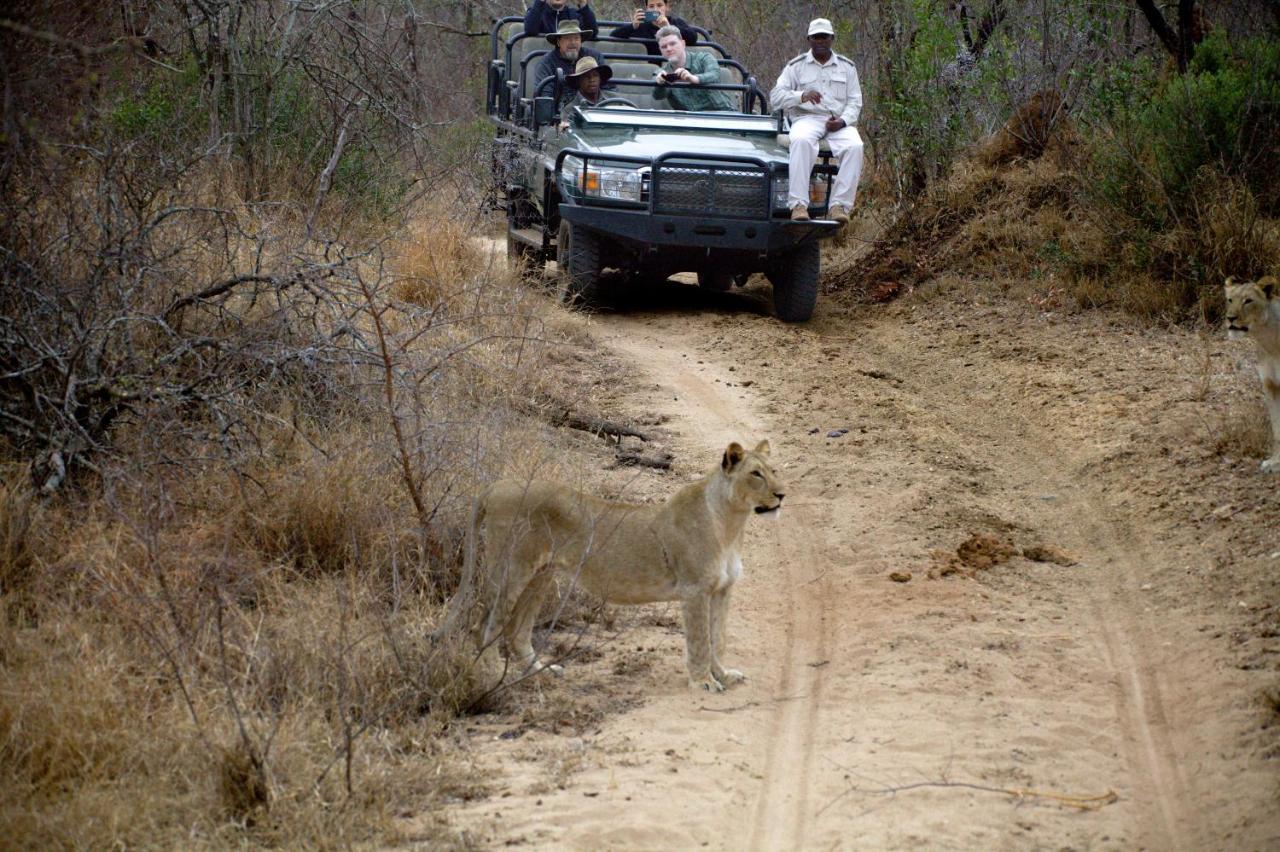 Karongwe Portfolio - Kuname Lodge Karongwe Game Reserve Eksteriør bilde
