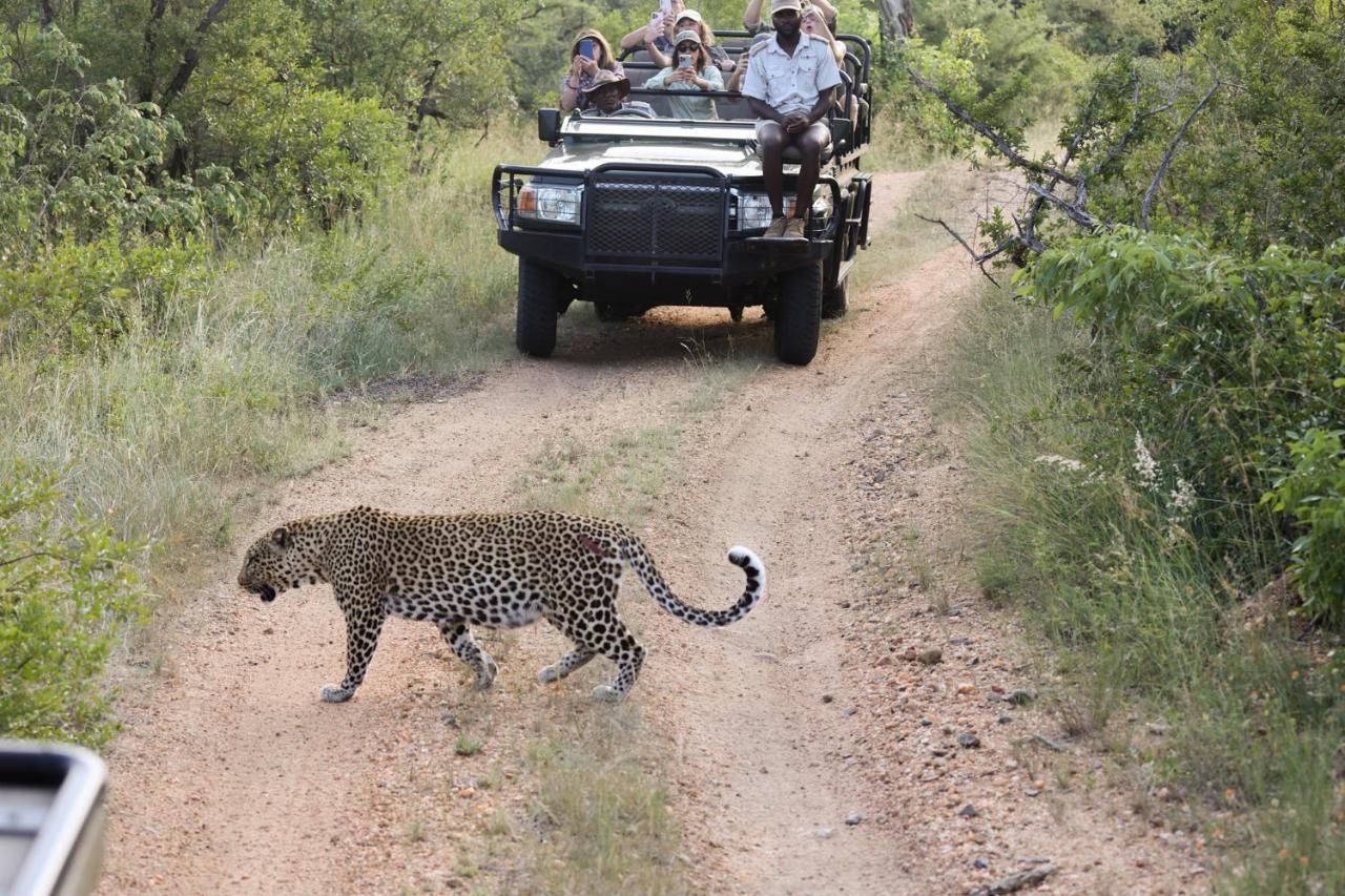 Karongwe Portfolio - Kuname Lodge Karongwe Game Reserve Eksteriør bilde