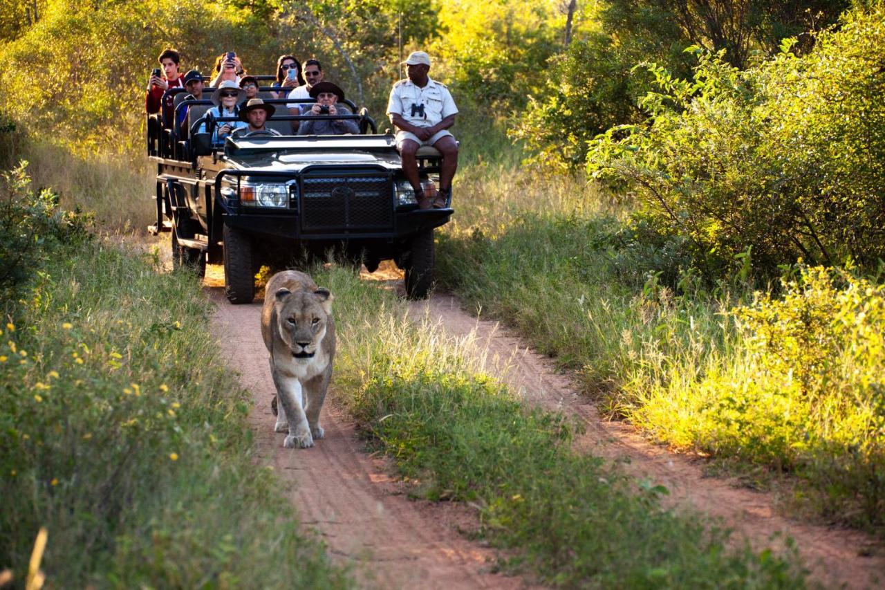 Karongwe Portfolio - Kuname Lodge Karongwe Game Reserve Eksteriør bilde