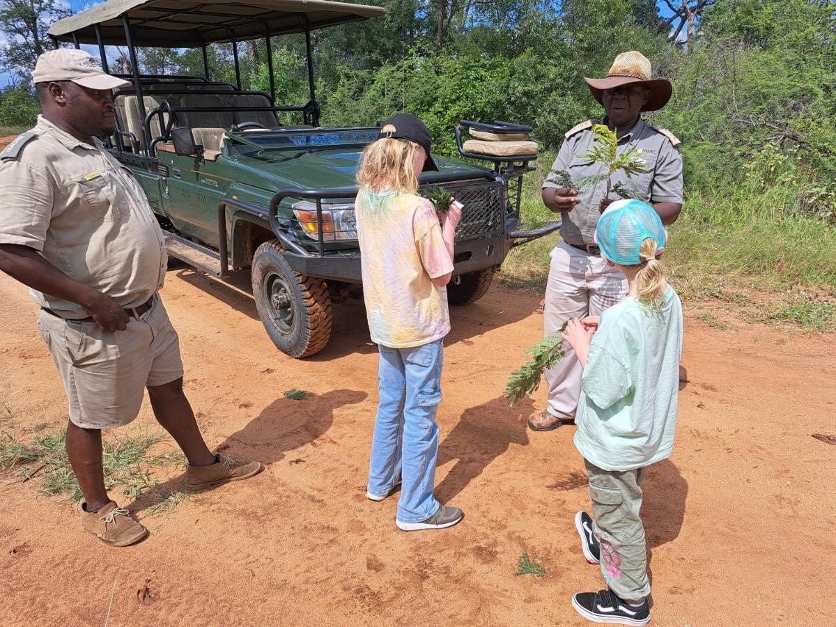 Karongwe Portfolio - Kuname Lodge Karongwe Game Reserve Eksteriør bilde