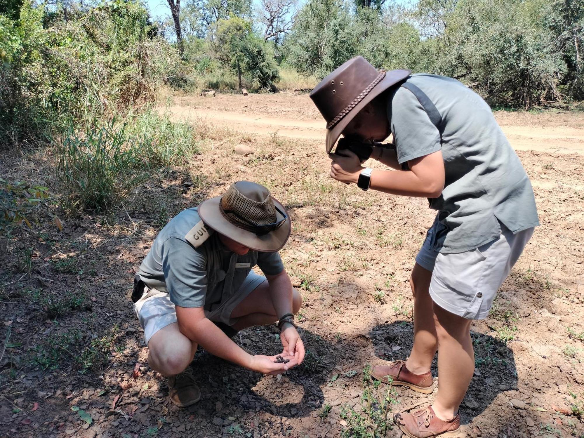 Karongwe Portfolio - Kuname Lodge Karongwe Game Reserve Eksteriør bilde