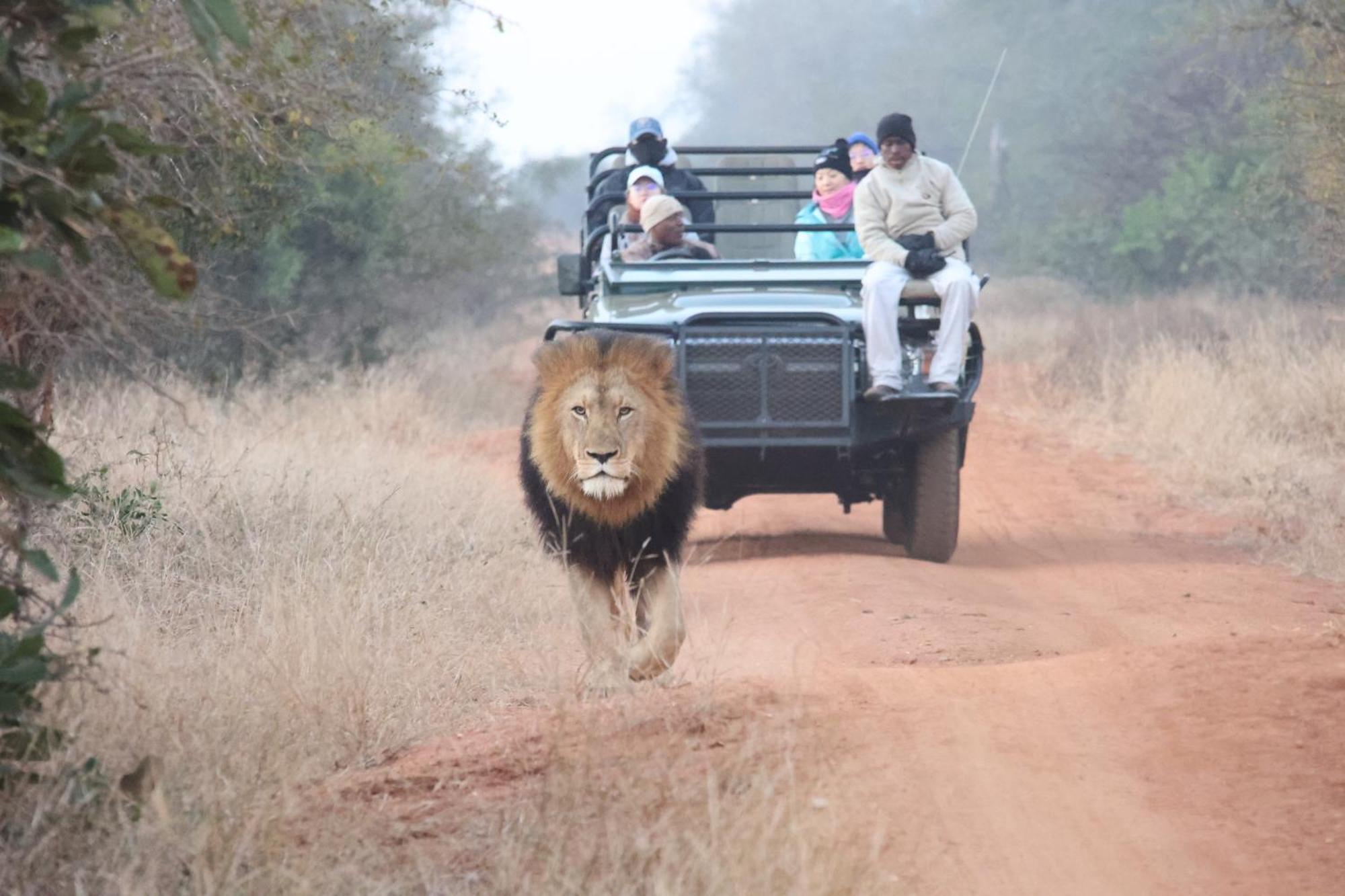 Karongwe Portfolio - Kuname Lodge Karongwe Game Reserve Eksteriør bilde